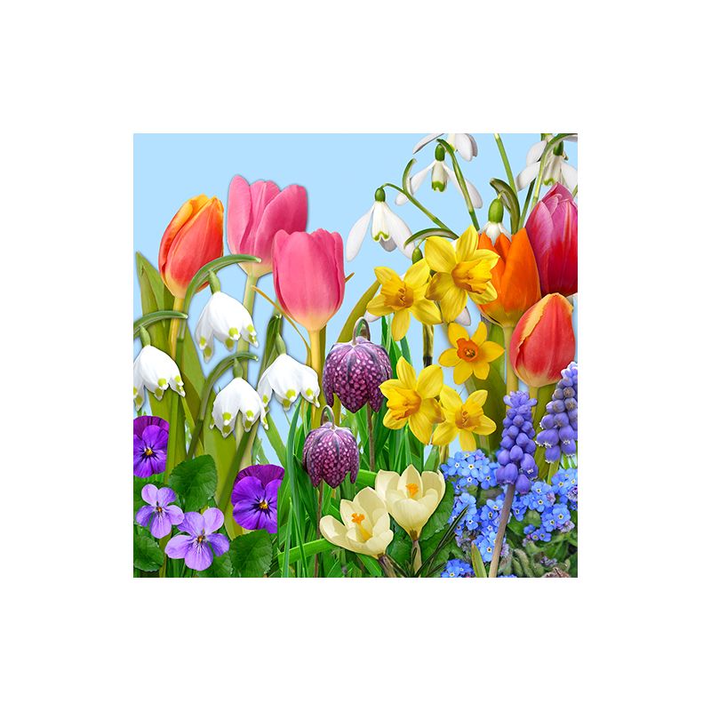 Servietten, 3-lagig 1/4-Falz 33 x 33 cm "Flowers of Spring" - Bild 1