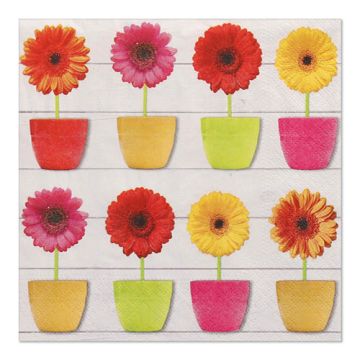 Servetten 3-laags 1/4 vouw 33 cm x 33 cm "Glowing Gerberas"