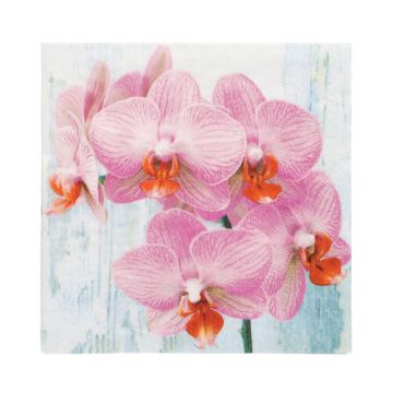 Servetten 3-laags 1/4 vouw 33 cm x 33 cm "Phalaenopsis" - orchideeën