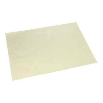 Placemats champagne nonwoven "soft selection plus" 30 x 40 cm, terras