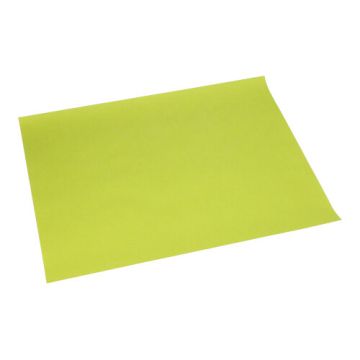 Placemats limoengroen nonwoven "soft selection plus" 30 x 40 cm, terras